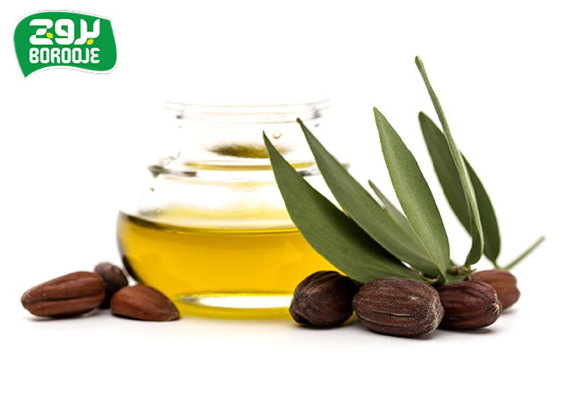 بهترین روغن برای رشد سریع ریش و سبیل؛ 16 روغن موثر و طبیعی 4 روغن جوجوبا