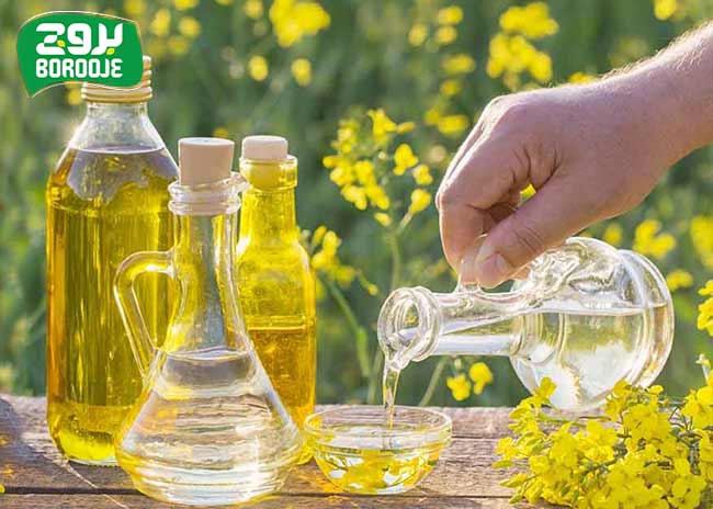 بهترین روغن خوراکی برای قلب چیست؟ (لیست کامل) 13 روغن کانولا برای سلامت قلب
