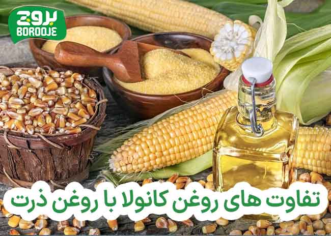 روغن کانولا بهتر است یا ذرت؟ (مقایسه کامل) 1 تفاوت های روغن کانولا با روغن ذرت